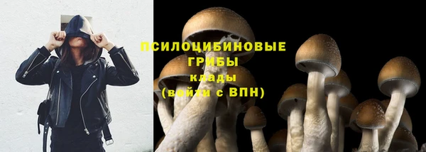 твердый Белокуриха