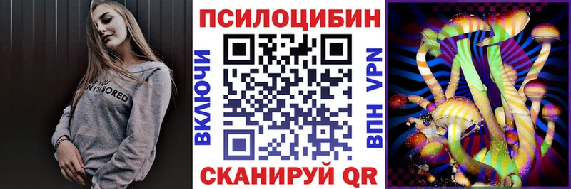 где купить наркотик  ссылка на мегу   Псилоцибиновые грибы Cubensis  Пестово 